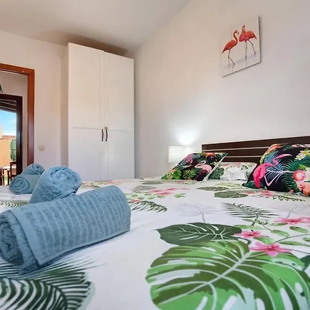 Dayely كوراليهو