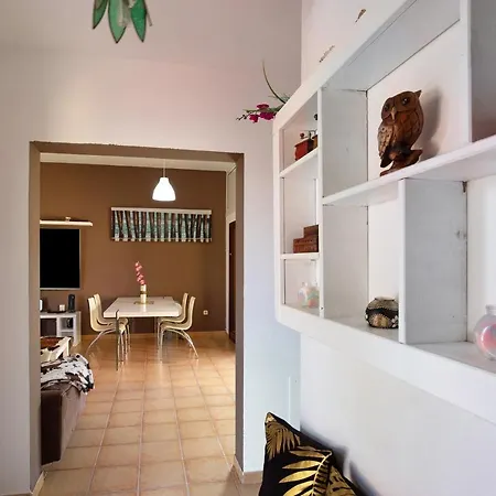 Dayely كوراليهو